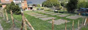 Entra il Comune di Gravesano